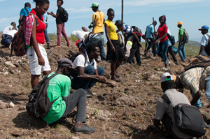 People planting at the site