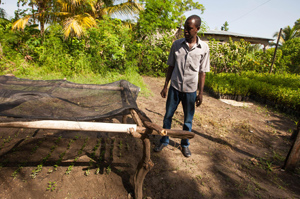 Haitian in his tree nursery