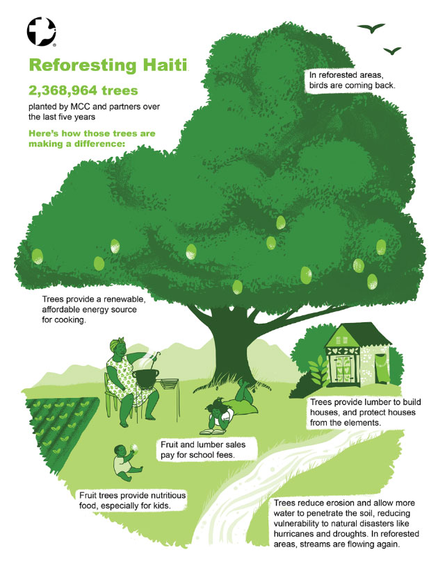 info graphic of how planting trees are beneficial