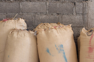 Sacks full of rice against a wall