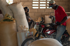 Person on motorcycle with sacks of rice in the foreground