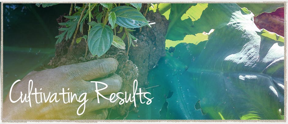 Cultivating Results